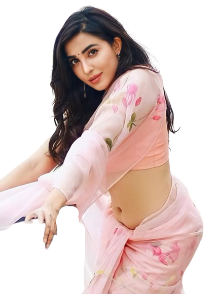 jaipur Escort Service